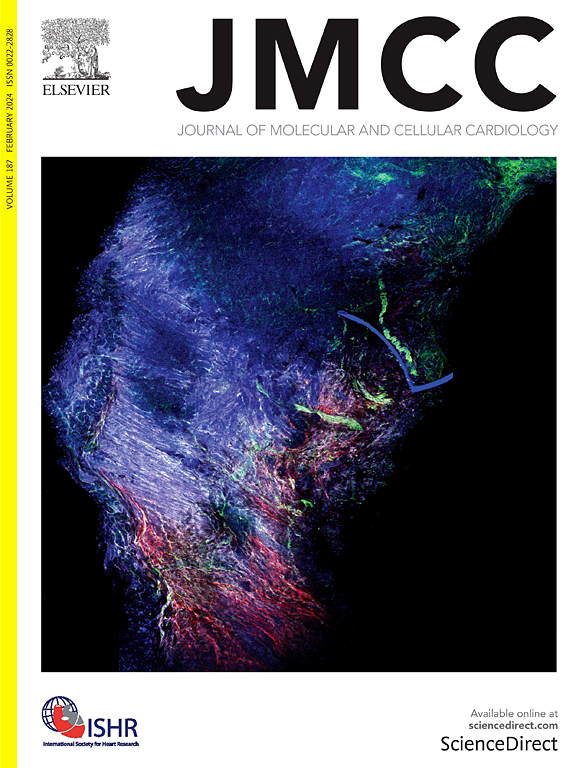 Go to journal home page - Journal of Molecular and Cellular Cardiology